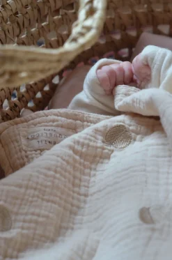 Apple Embroidered Baby Blanket