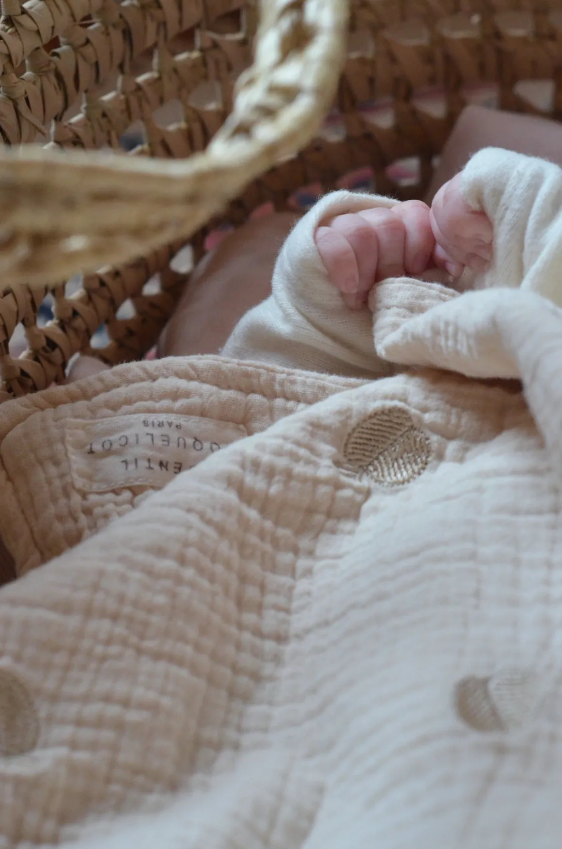 Apple Embroidered Baby Blanket