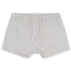 ASTER Swim Shorts | Light Blue Stripe