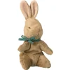 Baby Bunny with Blue Ribbon