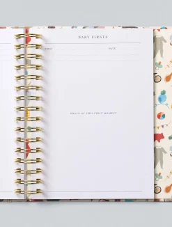 Baby Firsts