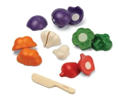 5 Colour Wooden Veggie Set