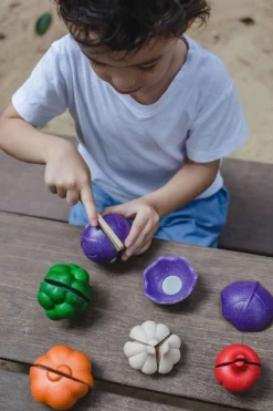 5 Colour Wooden Veggie Set