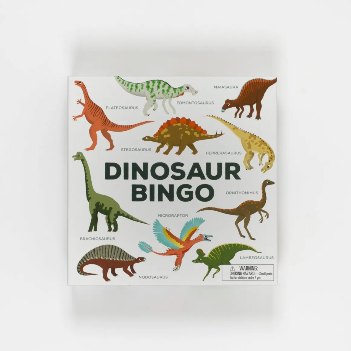 Dinosaur Bingo Game