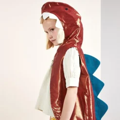 Dinosaur Costume