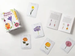 Flower Families: A Happy Families Game