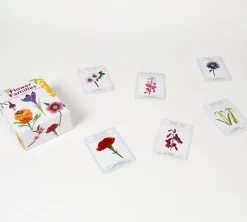 Flower Families: A Happy Families Game