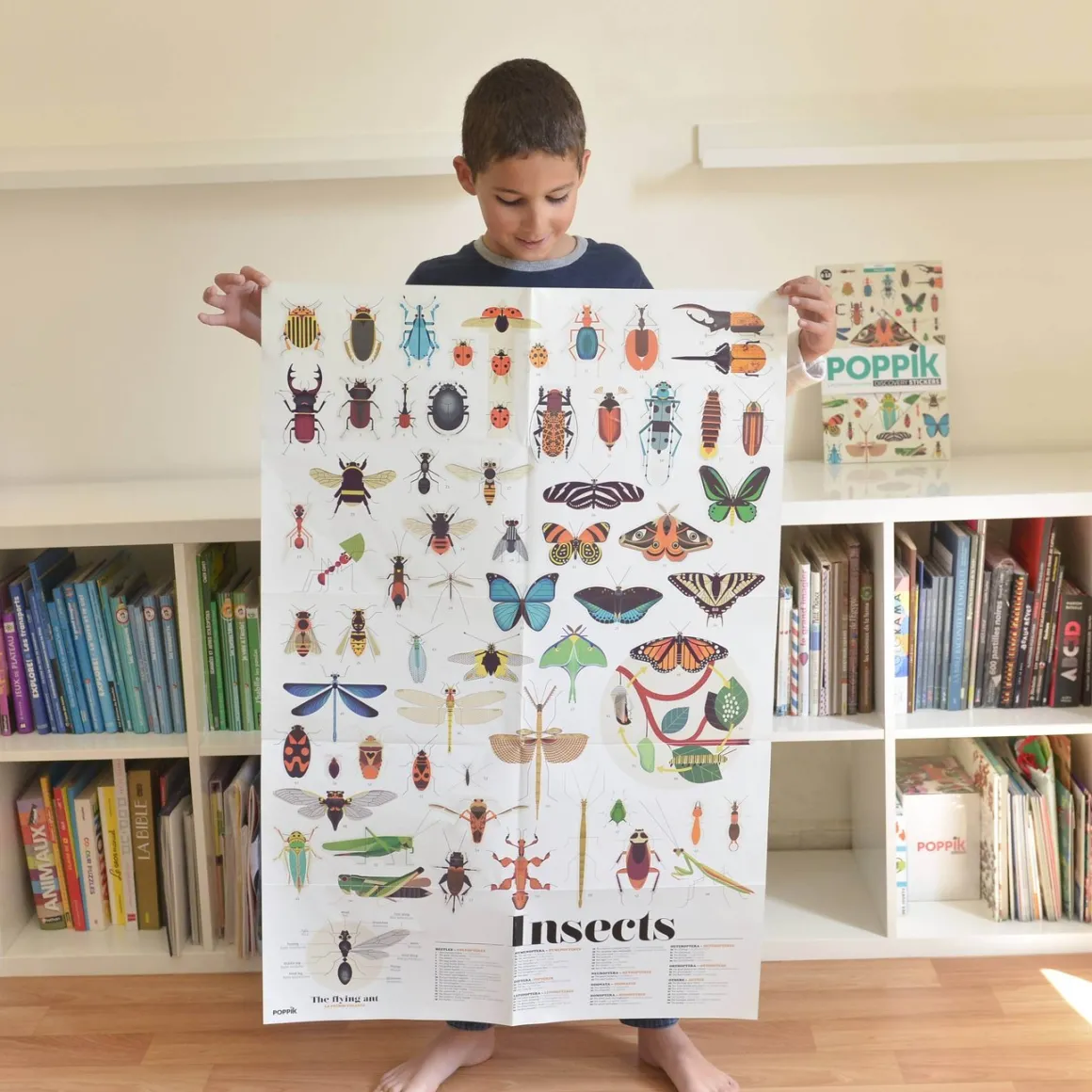 Giant Activity Sticker Poster - Insect with 44 Removable Stickers by Poppik