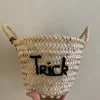 Halloween Edition 'Trick or Treat' Double Sided Embroidered Mini Basket