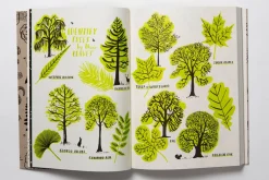 Hello Nature | Draw, Colour, Make and Grow