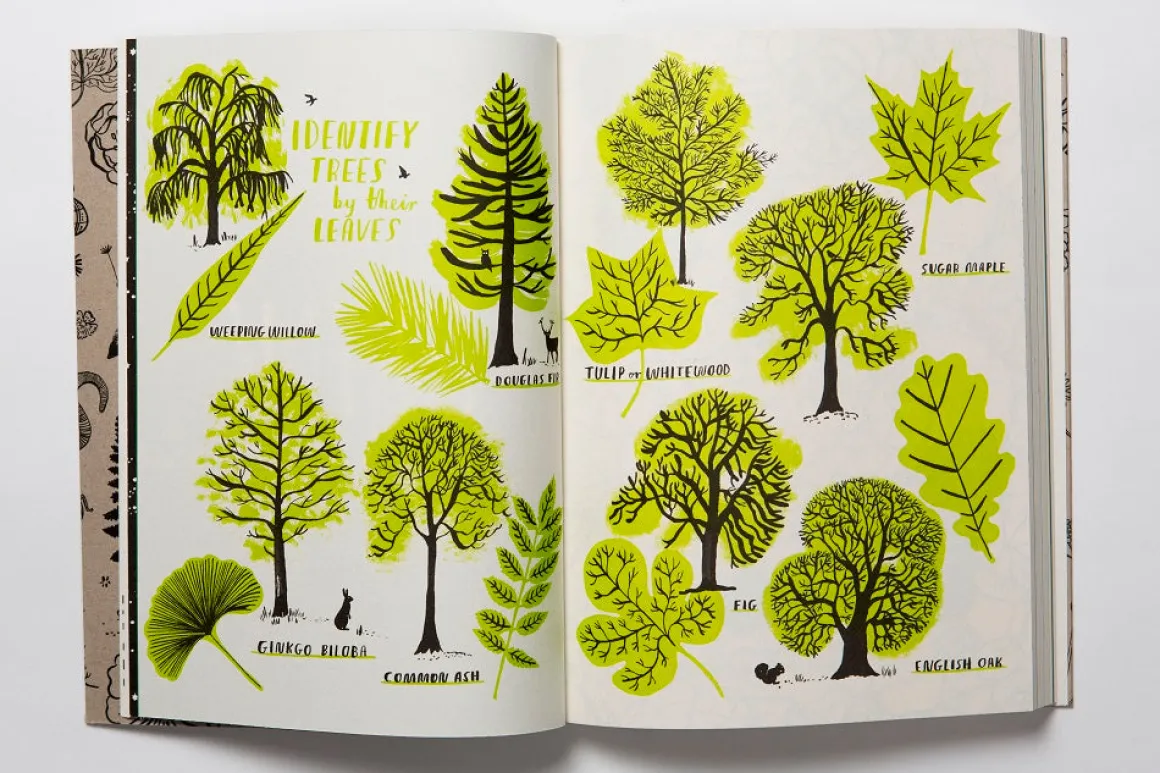 Hello Nature | Draw, Colour, Make and Grow