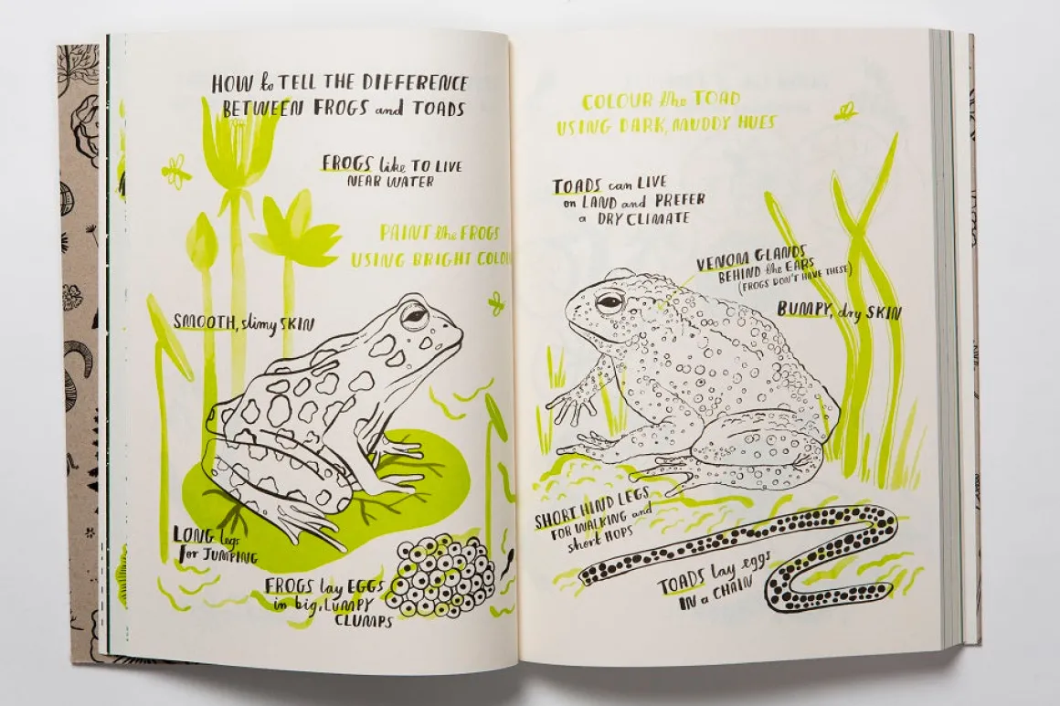 Hello Nature | Draw, Colour, Make and Grow