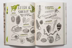 Hello Nature | Draw, Colour, Make and Grow