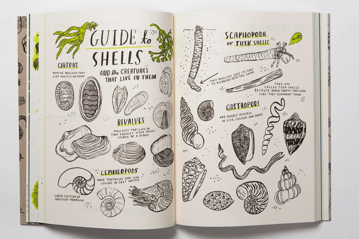 Hello Nature | Draw, Colour, Make and Grow