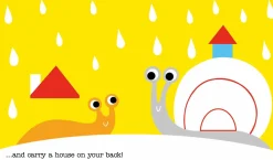 Homes (Board book)