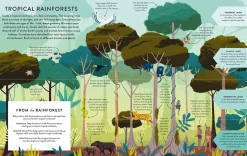 Let's Save Our Planet: Forests | Uncover the Facts. Be Inspired. Make A Difference