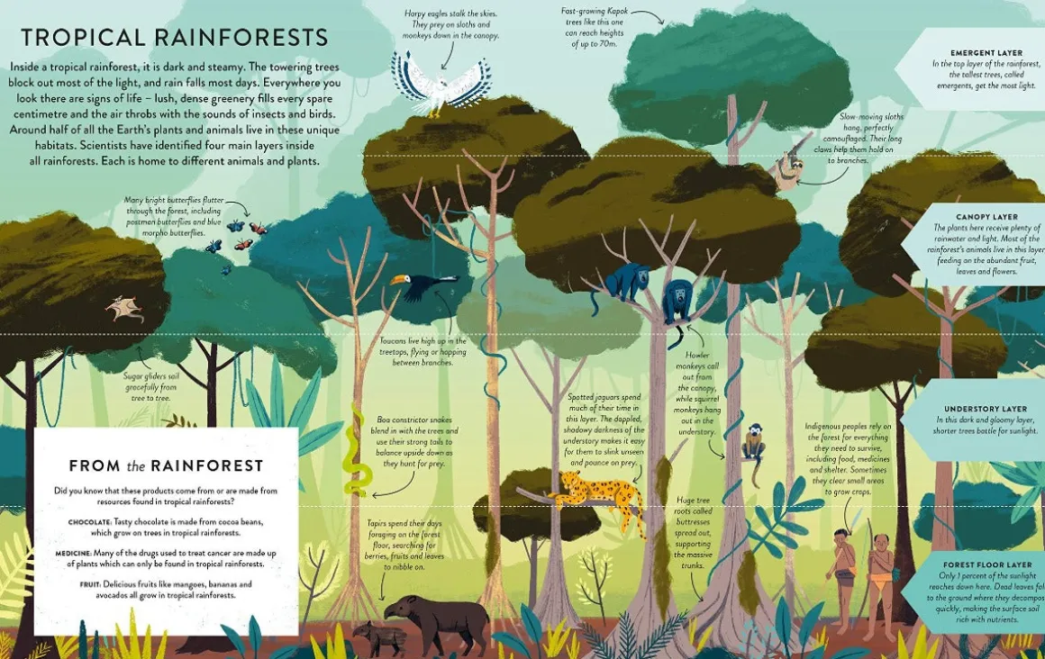Let's Save Our Planet: Forests | Uncover the Facts. Be Inspired. Make A Difference