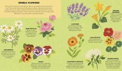 Little Country Cottage: A Spring Treasury of Recipes, Crafts and Wisdom