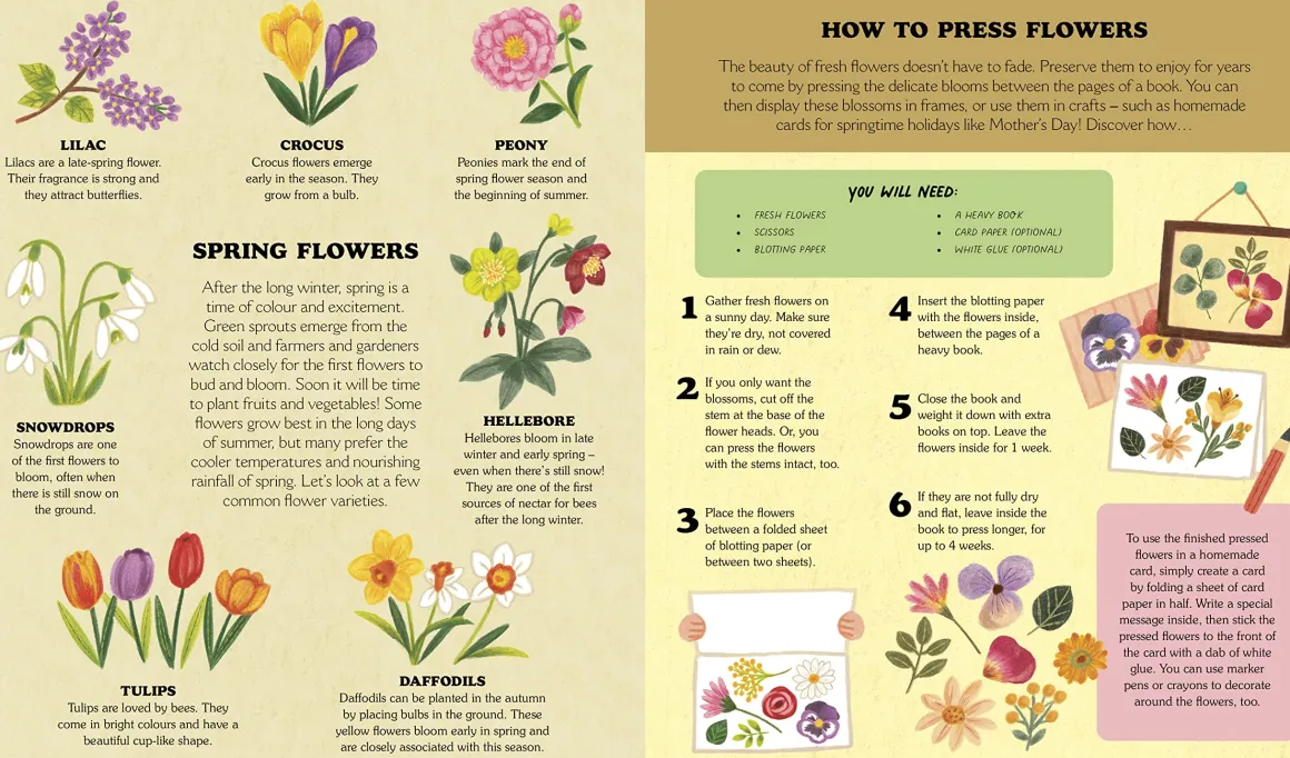 Little Country Cottage: A Spring Treasury of Recipes, Crafts and Wisdom