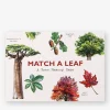 Match a Leaf: A Tree Memory Game