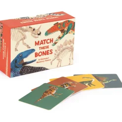 Match These Bones: A Dinosaur Memory Game