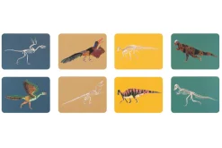 Match These Bones: A Dinosaur Memory Game