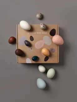 Moon Picnic A Dozen Bird Eggs in a Box