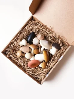 Moon Picnic Forest Mushrooms in a Box