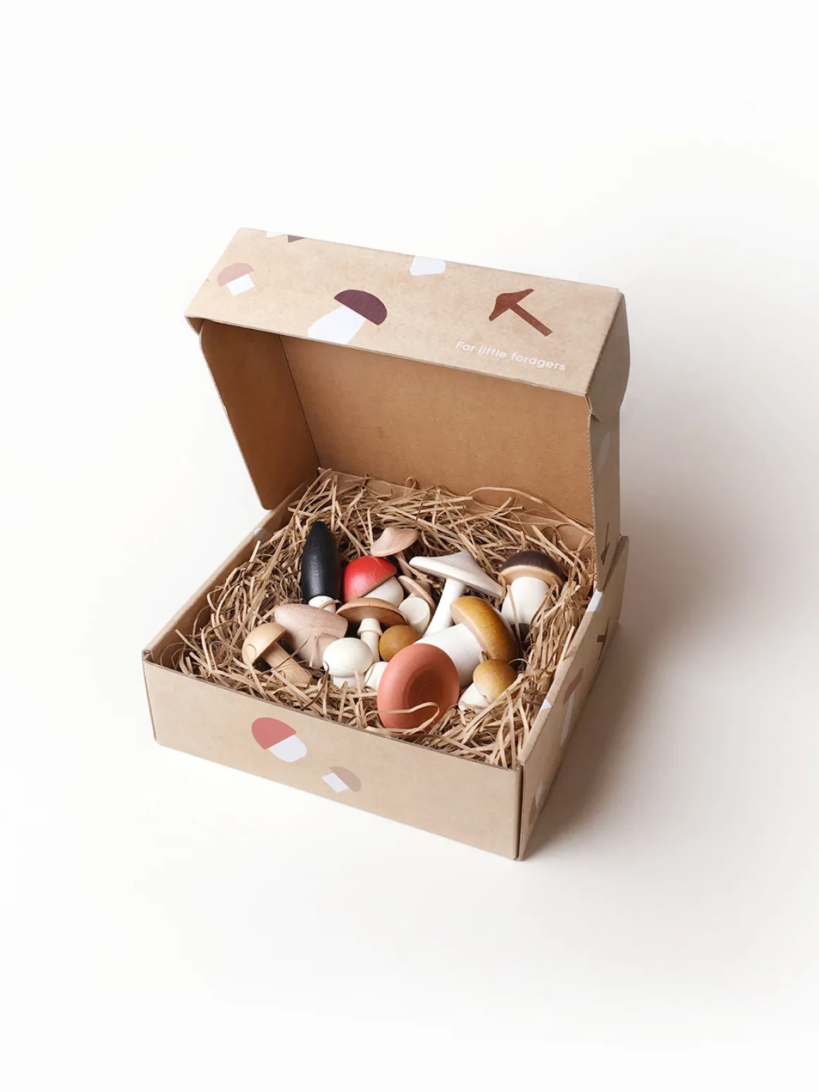 Moon Picnic Forest Mushrooms in a Box