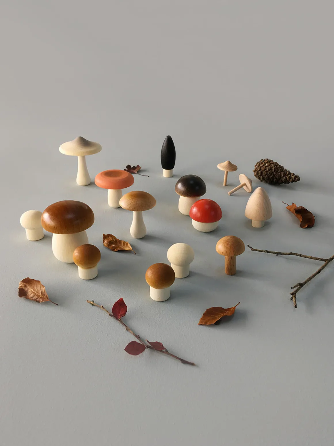 Moon Picnic Forest Mushrooms in a Box