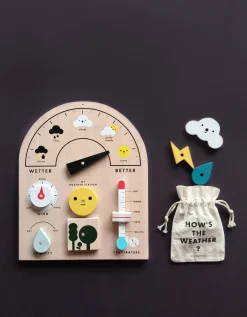 Moon Picnic My Weather Station