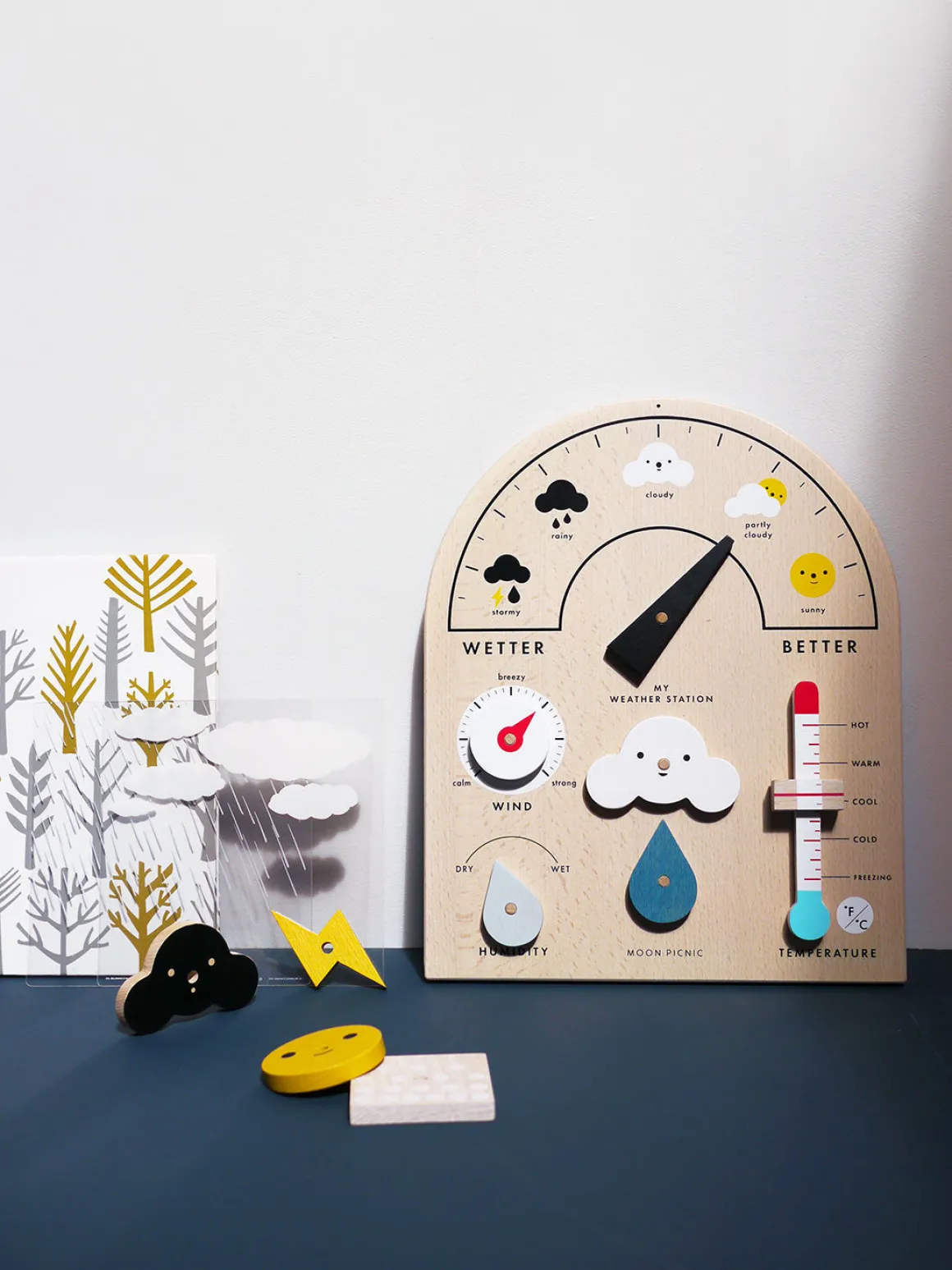 Moon Picnic My Weather Station