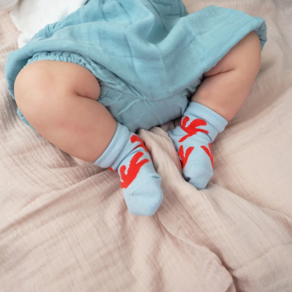 N.21 Organic Cotton Baby Sock by TchuTcha