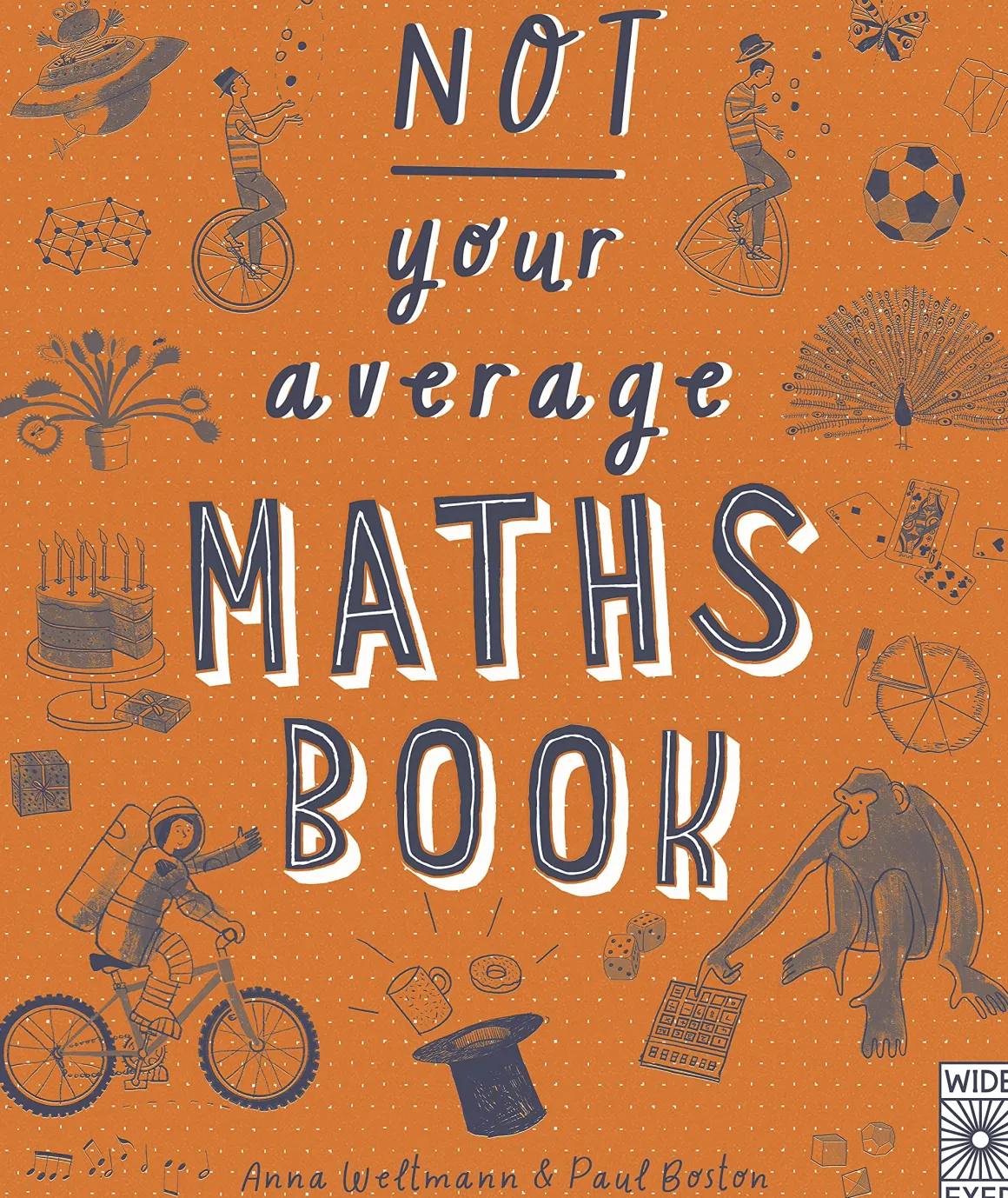 Not Your Average Maths Book