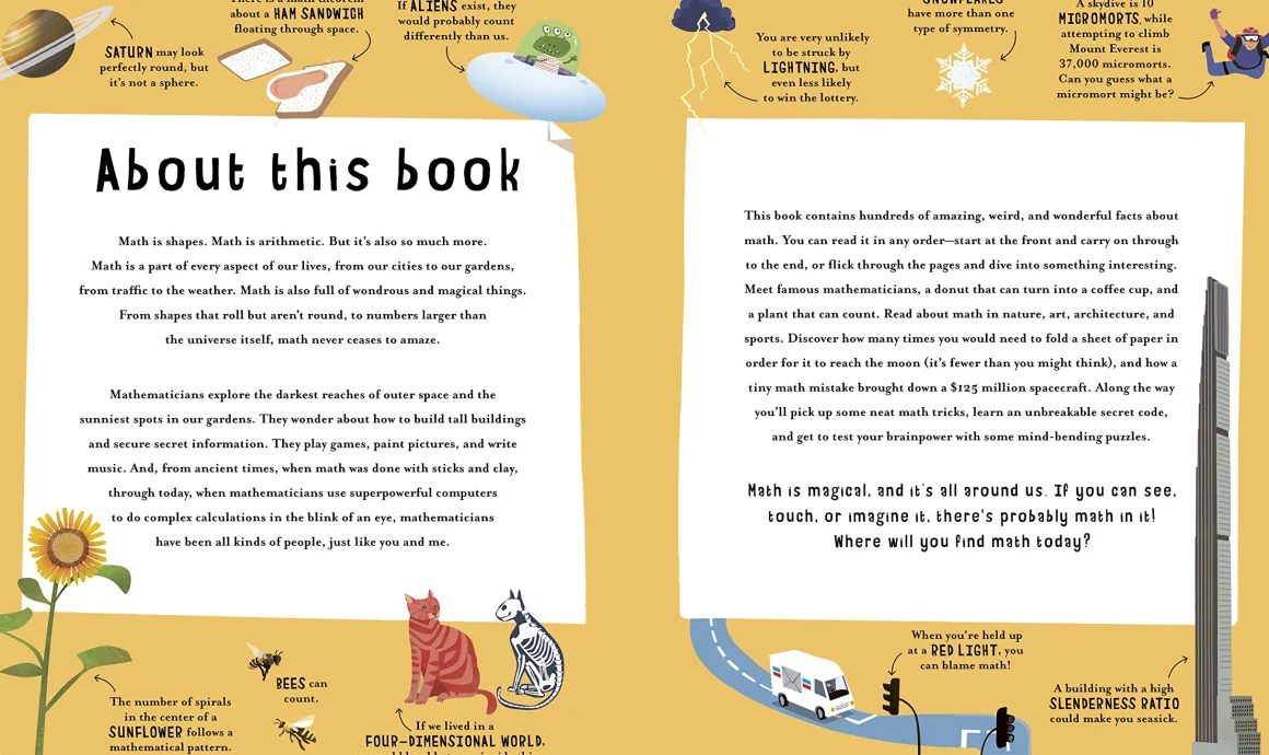 Not Your Average Maths Book