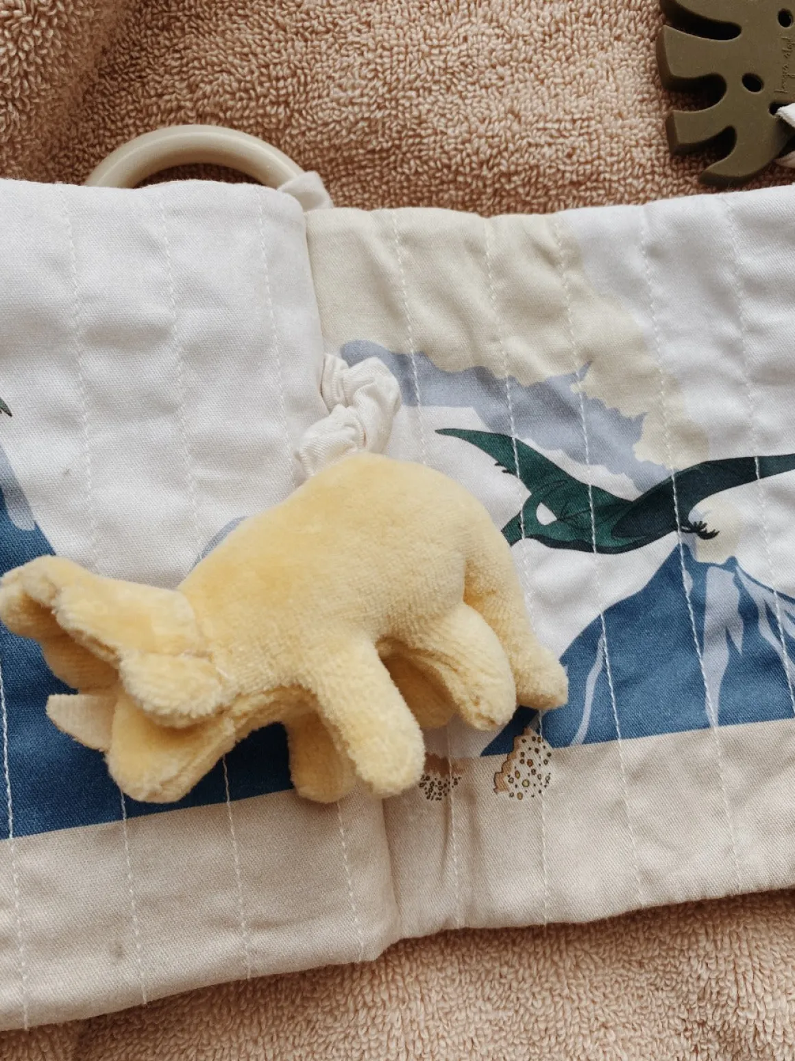 Organic Cotton Dino Fabric Book