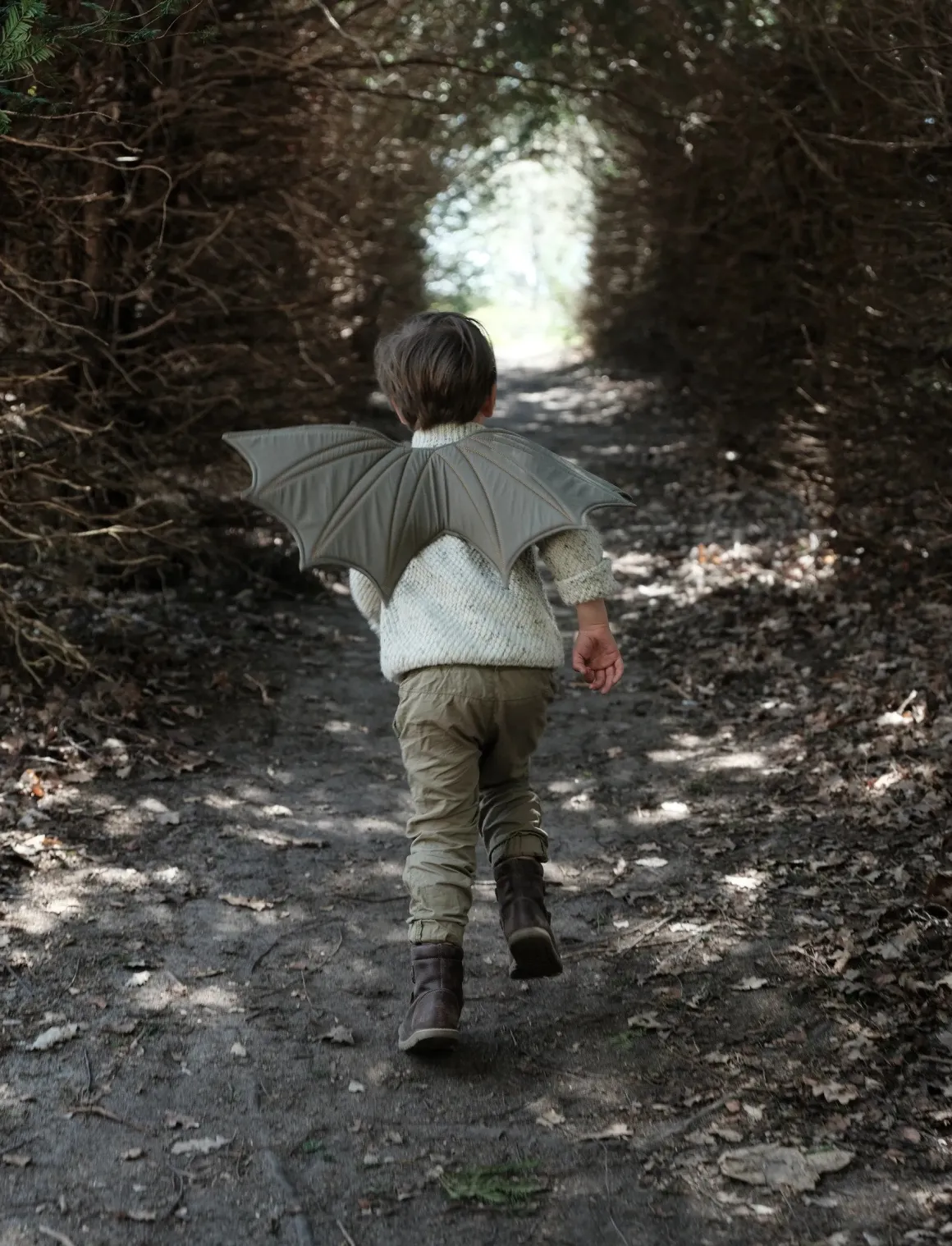 Organic Cotton Dragon Wings