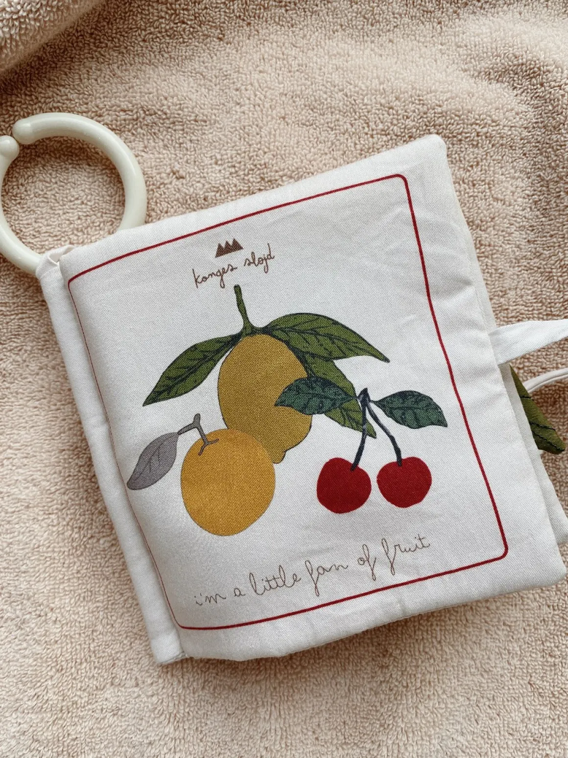 Organic Cotton Fruit Fabric Book