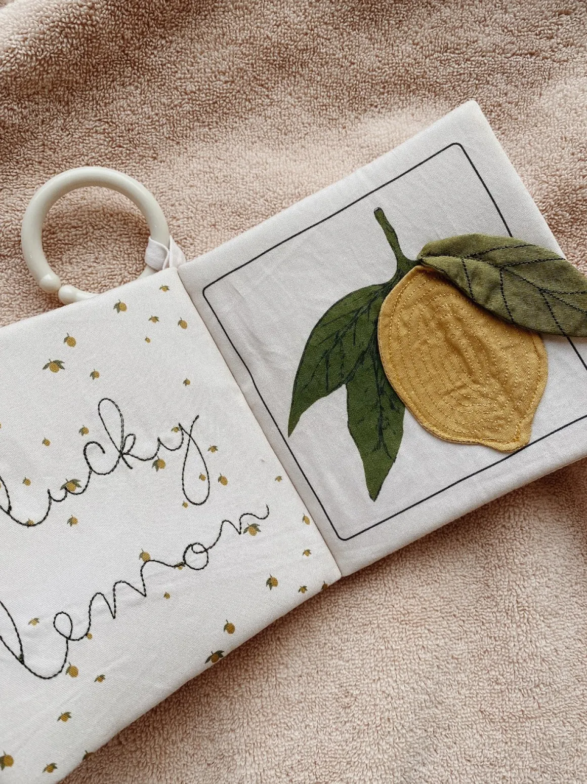 Organic Cotton Fruit Fabric Book