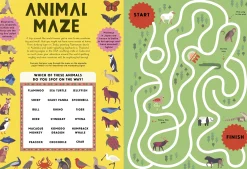 Our Wonderful World Activity Book