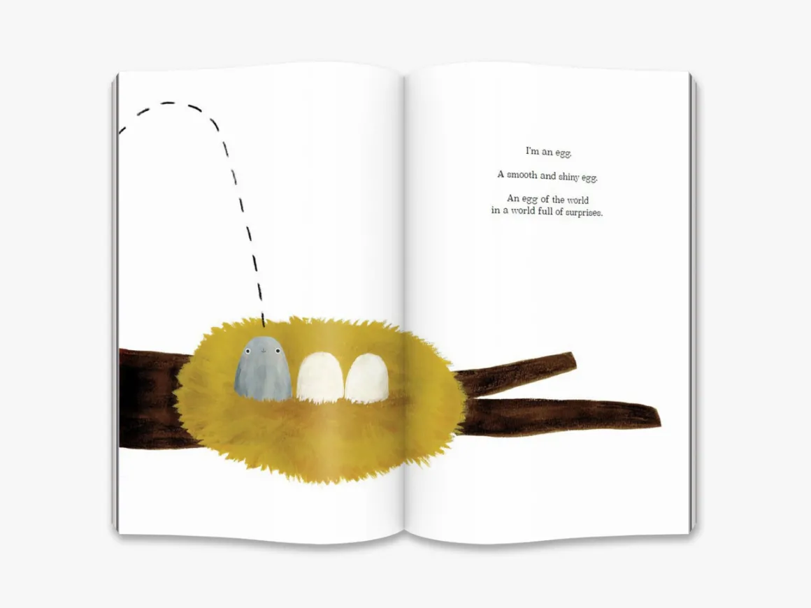 Petra Book