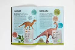 Terrific Timelines: Dinosaurs | Press out, put together and display!