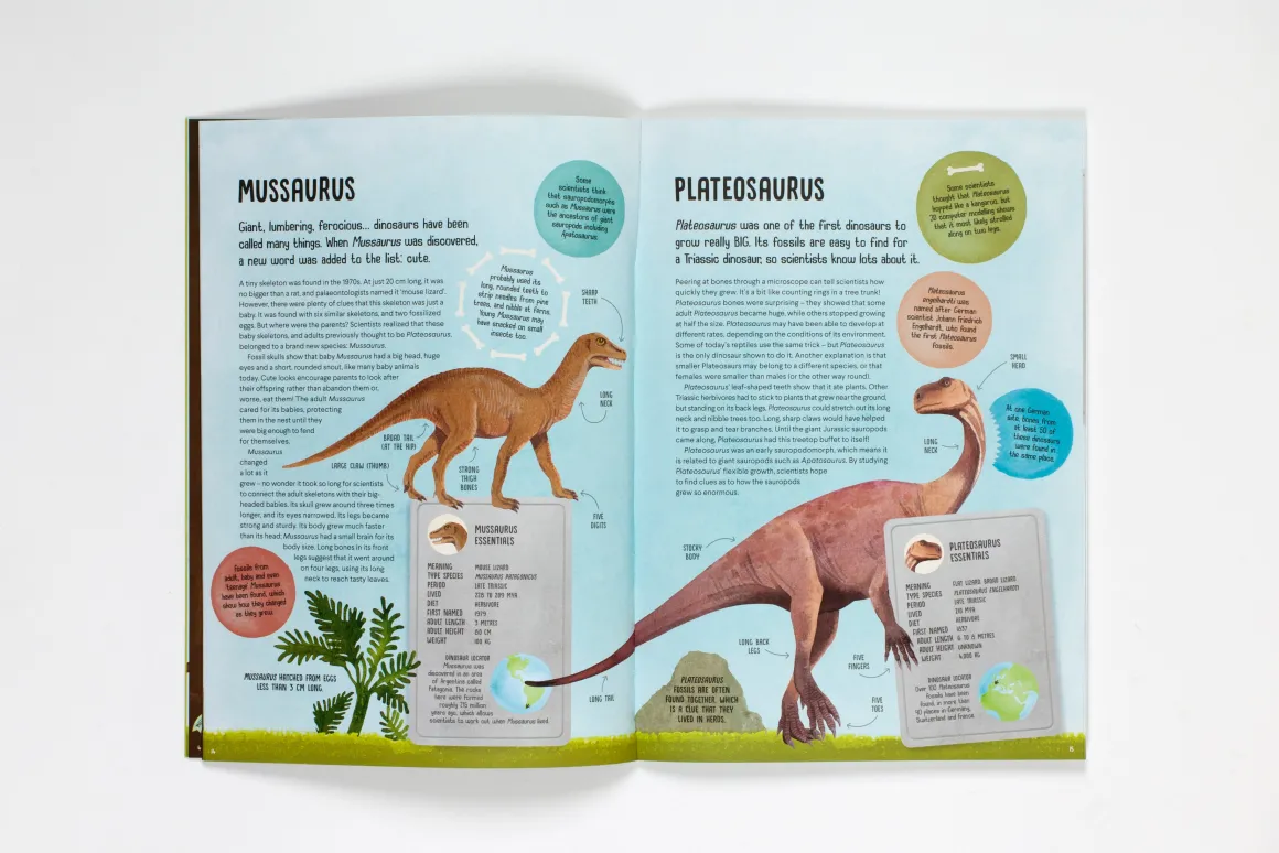 Terrific Timelines: Dinosaurs | Press out, put together and display!