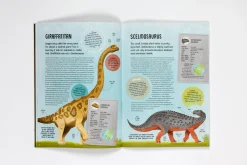 Terrific Timelines: Dinosaurs | Press out, put together and display!