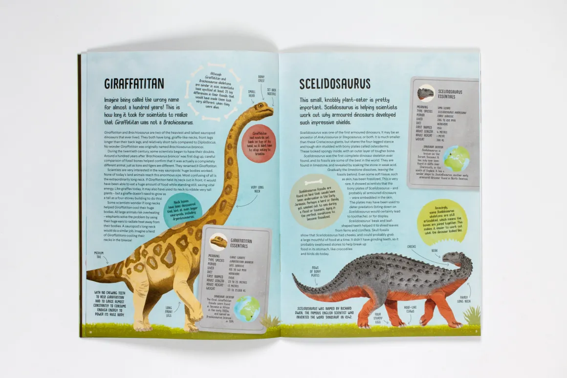 Terrific Timelines: Dinosaurs | Press out, put together and display!