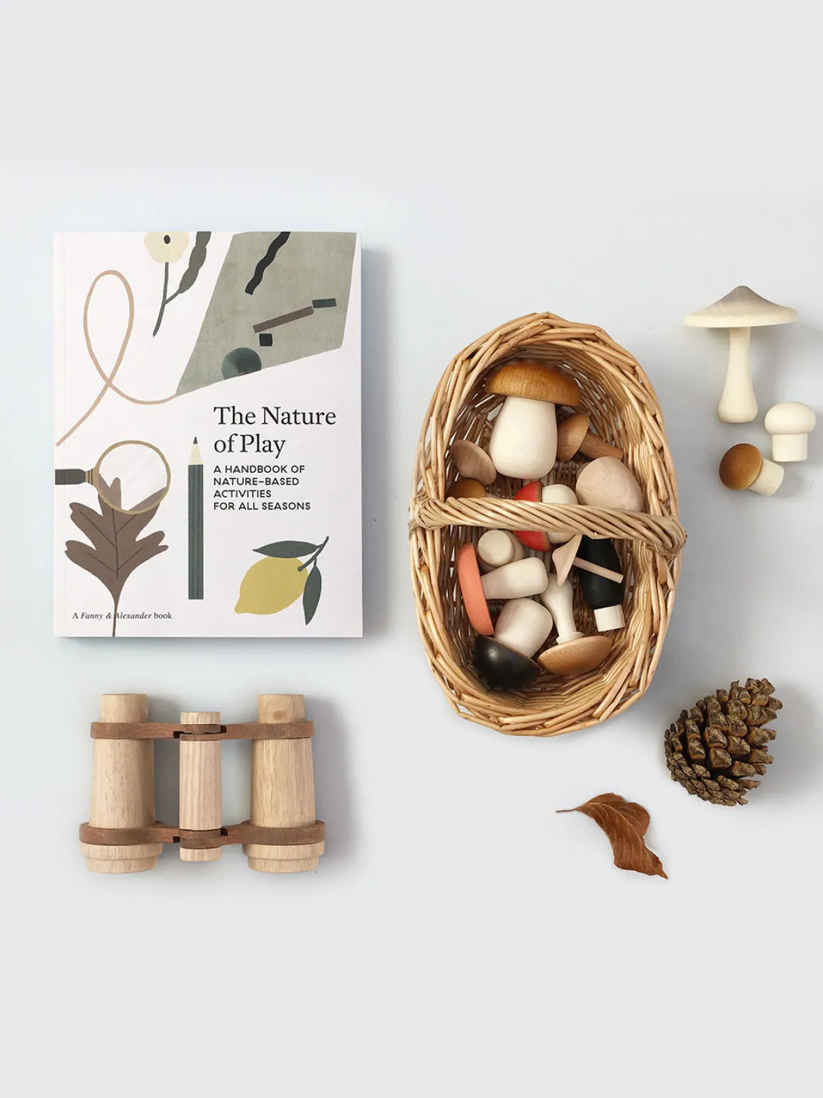 The Nature of Play Book