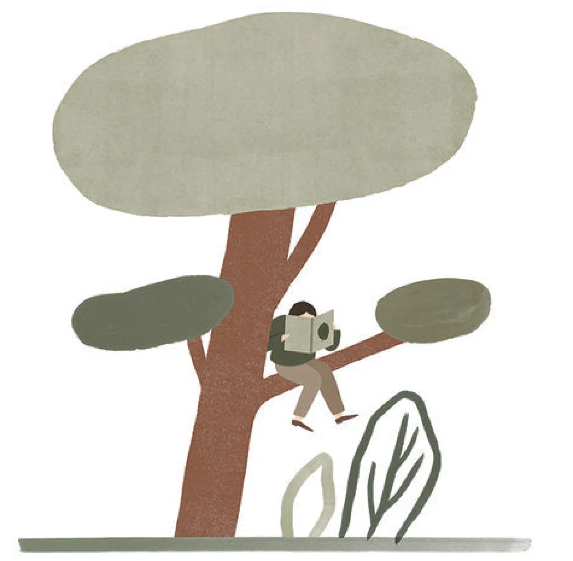 The Nature of Play Book