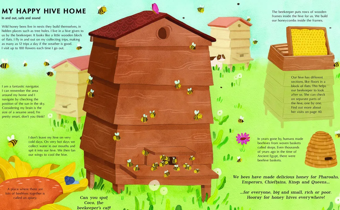 The Secret Life of Bees | Meet the bees of the world, with Buzzwing the honeybee