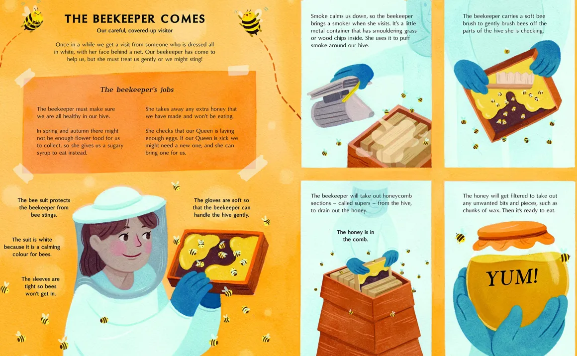 The Secret Life of Bees | Meet the bees of the world, with Buzzwing the honeybee