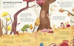 The Secret Life of Trees | Explore the forests of the world, with Oakheart the Brave